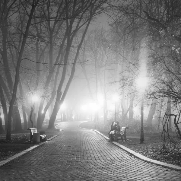 Ρομαντική σκηνή στο πάρκο της πόλης το βράδυ. μαύρο και άσπρο. — Φωτογραφία Αρχείου