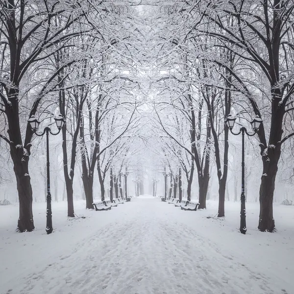 Footpath in a fabulous winter city park — Stock Photo, Image