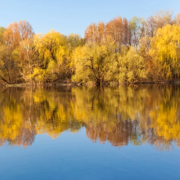 Paesaggio d'autunno — Foto Stock