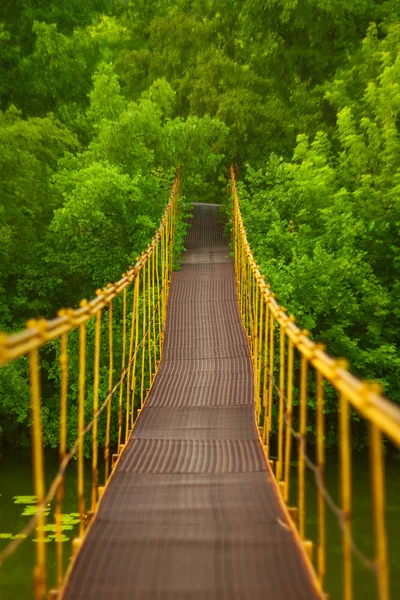 Ponte sospeso in metallo sul fiume — Foto Stock