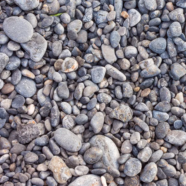 Piedras de guijarro como textura de fondo — Foto de Stock