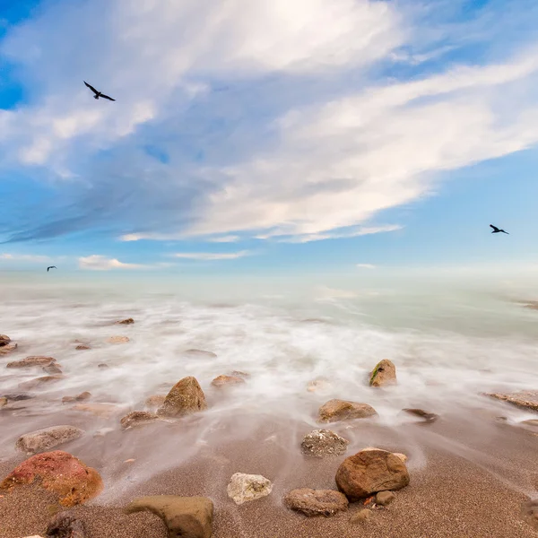 Minimalist deniz manzarası. kıyı gündoğumu. — Stok fotoğraf