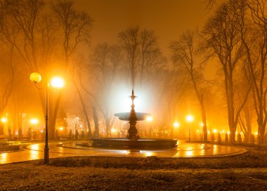 Gece şehir parkı