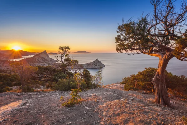 Paisaje de montaña. Ucrania. Crimea . — Foto de Stock