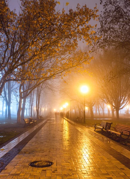 Parque de la ciudad por la noche — Foto de Stock