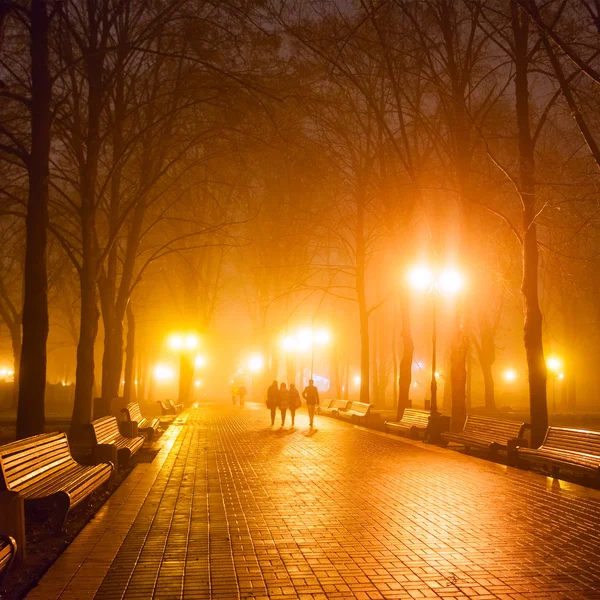 市区公园在夜间 — 图库照片