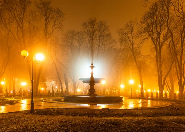 Parque de la ciudad por la noche —  Fotos de Stock