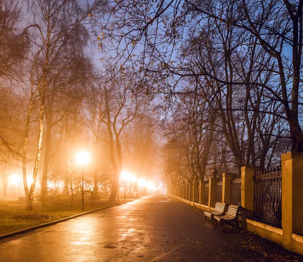 Městský park v noci — Stock fotografie