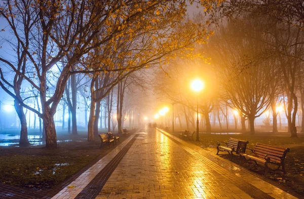 Parque da cidade à noite — Fotografia de Stock