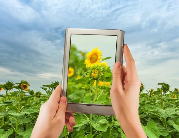 EBook on a small digital tablet — Stock Photo, Image