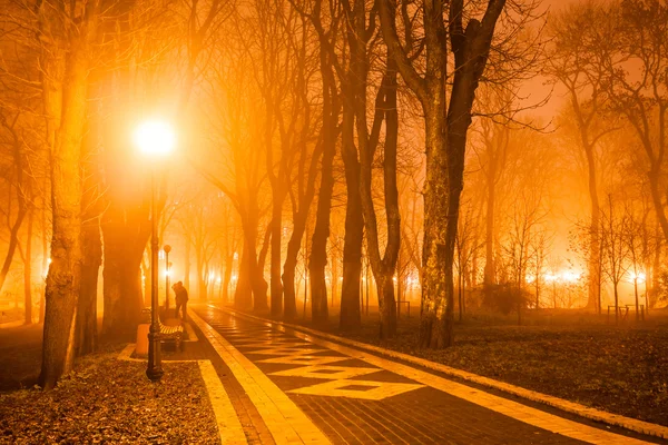 Personnes dans le parc de la ville la nuit — Photo
