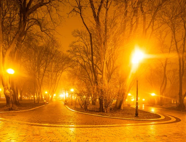 City park at night — Stock Photo, Image