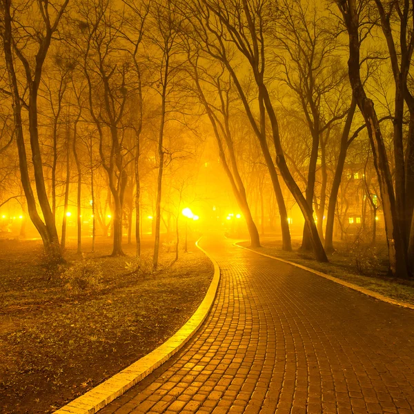 Park miejski w nocy — Zdjęcie stockowe