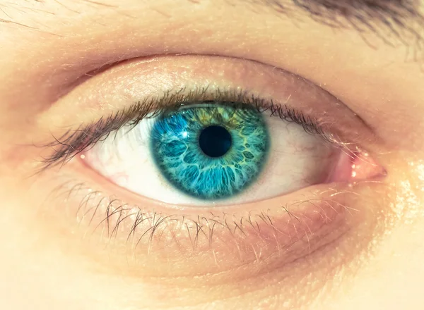 Macro image of human eye — Stock Photo, Image