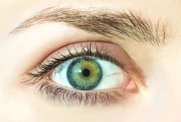 Macro image of human eye — Stock Photo, Image