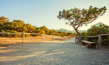 dağ manzarası. Ukrayna. Kırım.