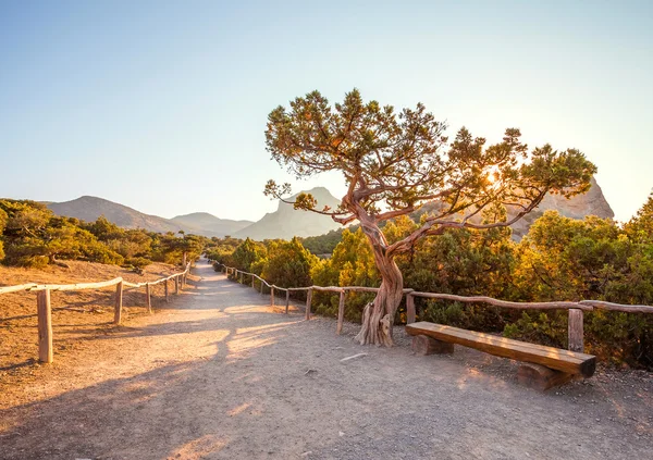 Paesaggio montano. Ucraina. Crimea . — Foto Stock