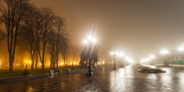 gece şehir park avenue