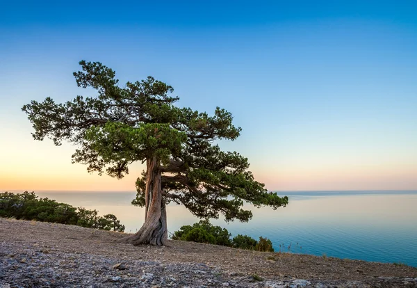 Incroyable lever de soleil sur la mer — Photo