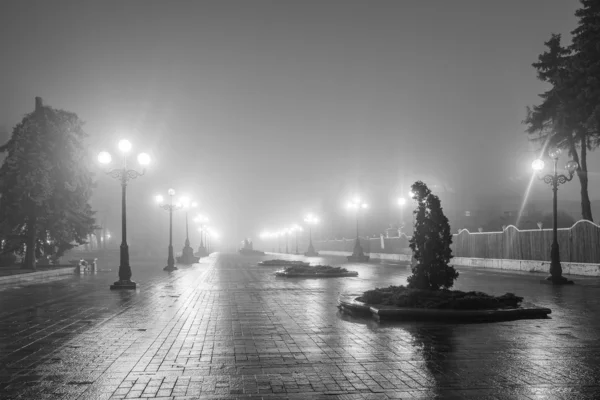 A avenida do parque da cidade à noite — Fotografia de Stock
