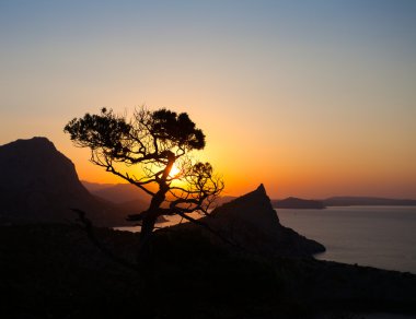 Dağlarda gün doğumu