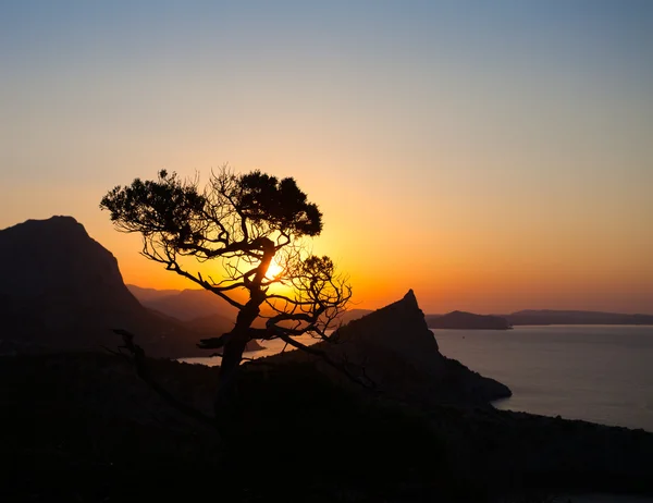 Zonsopgang in de bergen — Stockfoto