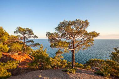 Sunrise ağaçlar ve deniz ile dağlarda