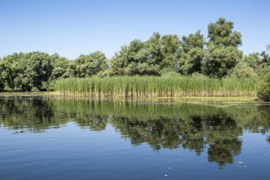 Tuna Nehri Deltası, Romanya