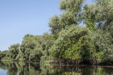Tuna Nehri Deltası, Romanya