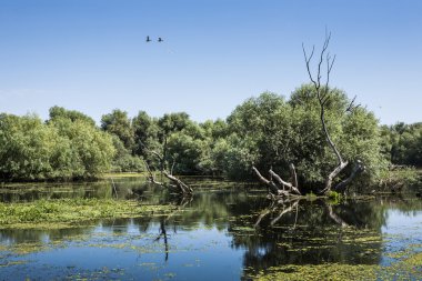 Tuna Nehri Deltası, Romanya