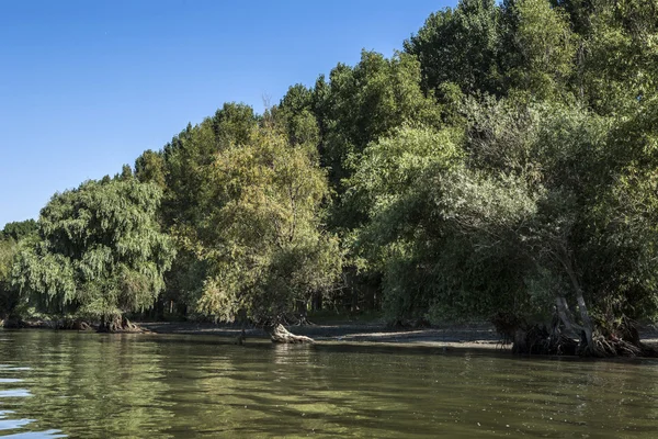 Donau rivierdelta, Roemenië — Stockfoto