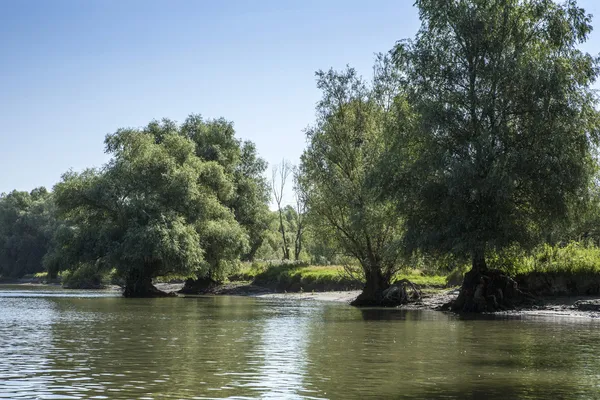 Donau rivierdelta, Roemenië — Stockfoto