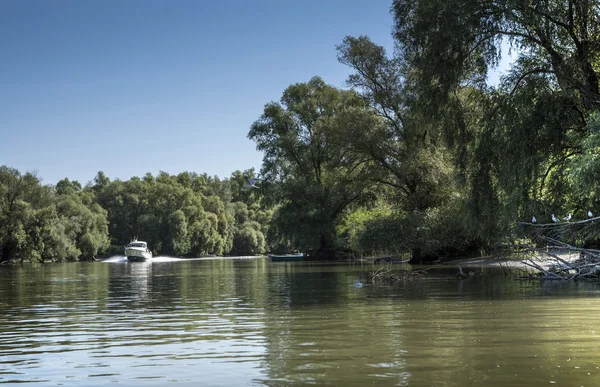 Floden Donaudeltat, Rumänien — Stockfoto