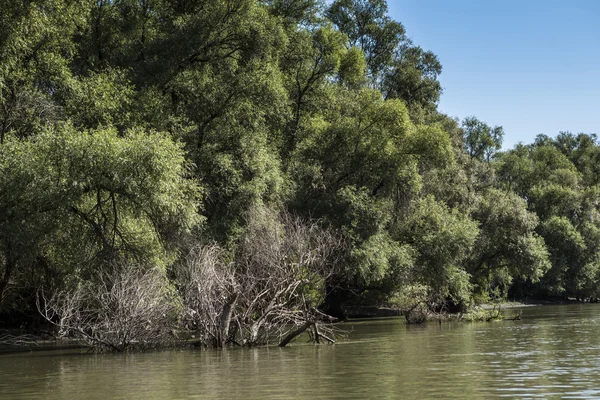 Donau rivierdelta, Roemenië — Stockfoto