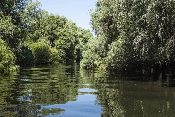 Donau rivierdelta, Roemenië — Stockfoto