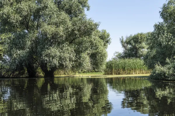 Delta řeky Dunaje, Rumunsko — Stock fotografie