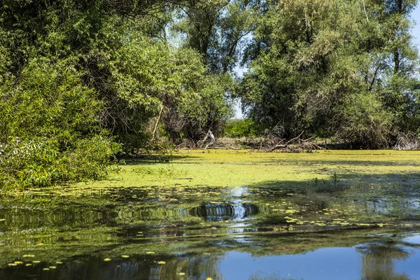 Delta del Danubio, Rumania — Foto de Stock