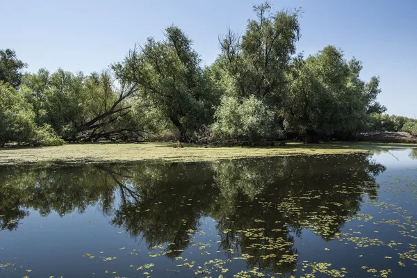 Danube river Delta, Romania — Stock Photo, Image