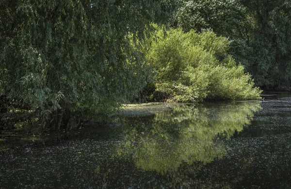Tuna Deltası, yaban hayatı