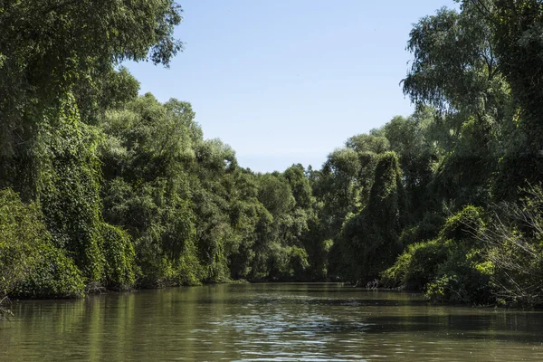 Tuna Deltası, yaban hayatı