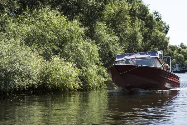 Vida silvestre del delta del Danubio —  Fotos de Stock