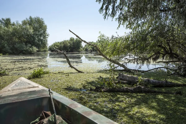 Wildtiere im Donaudelta — Stockfoto