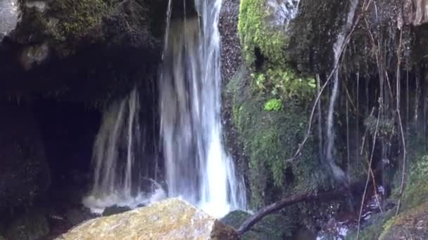 Fresh water stream in mountain forest — Stock Video