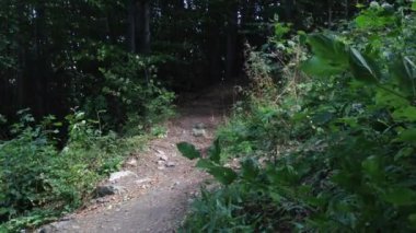 dağ bisikletçileri