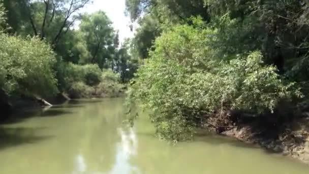 Passeios de barco no Danúbio — Vídeo de Stock