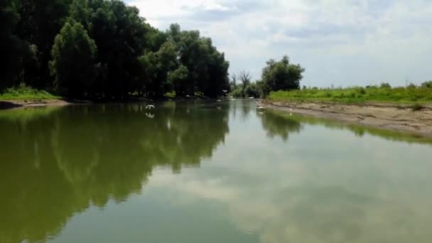 Flussschifffahrt auf der Donau — Stockvideo