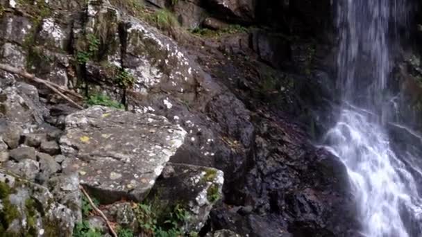 Cascade