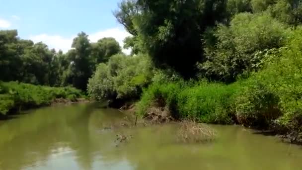 Elvebåter ved Donau – stockvideo