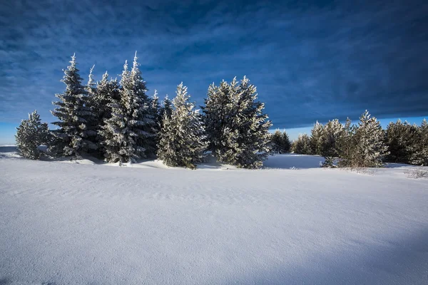 Winterliche Szenerie, windiges Wetter — Stockfoto