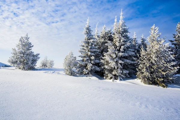 Winterliche Szenerie — Stockfoto